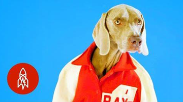 A DAY IN THE LIFE OF THE DOG PHOTOGRAPHER