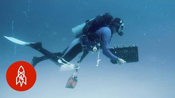 HEALING THE OCEAN WITH A GARDEN OF CORAL